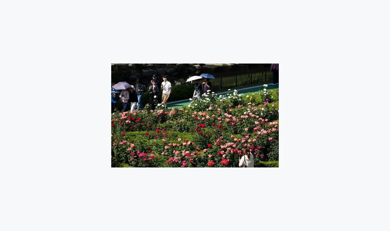 富牛证券快讯整理：围绕富牛证券市场资讯的三类信号 插图